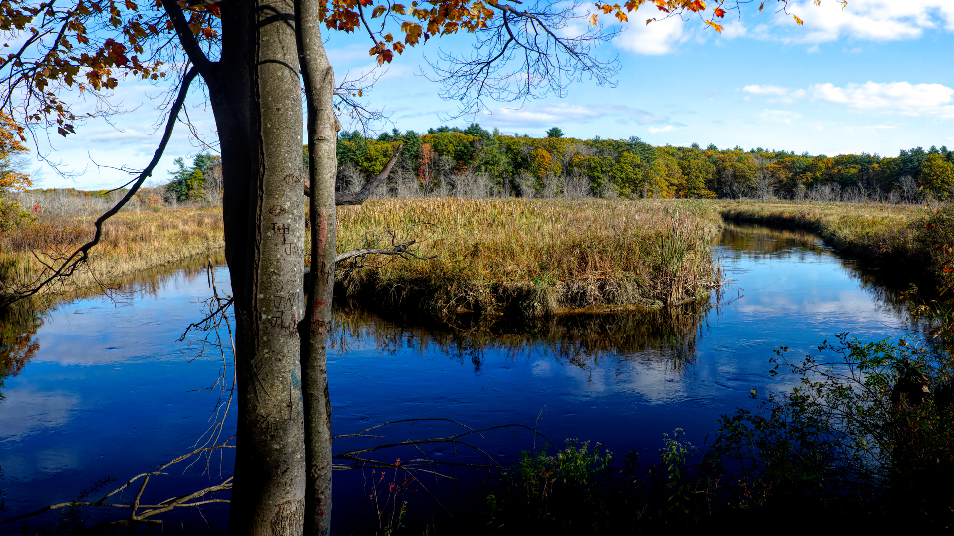Eastern Trail - River Bend