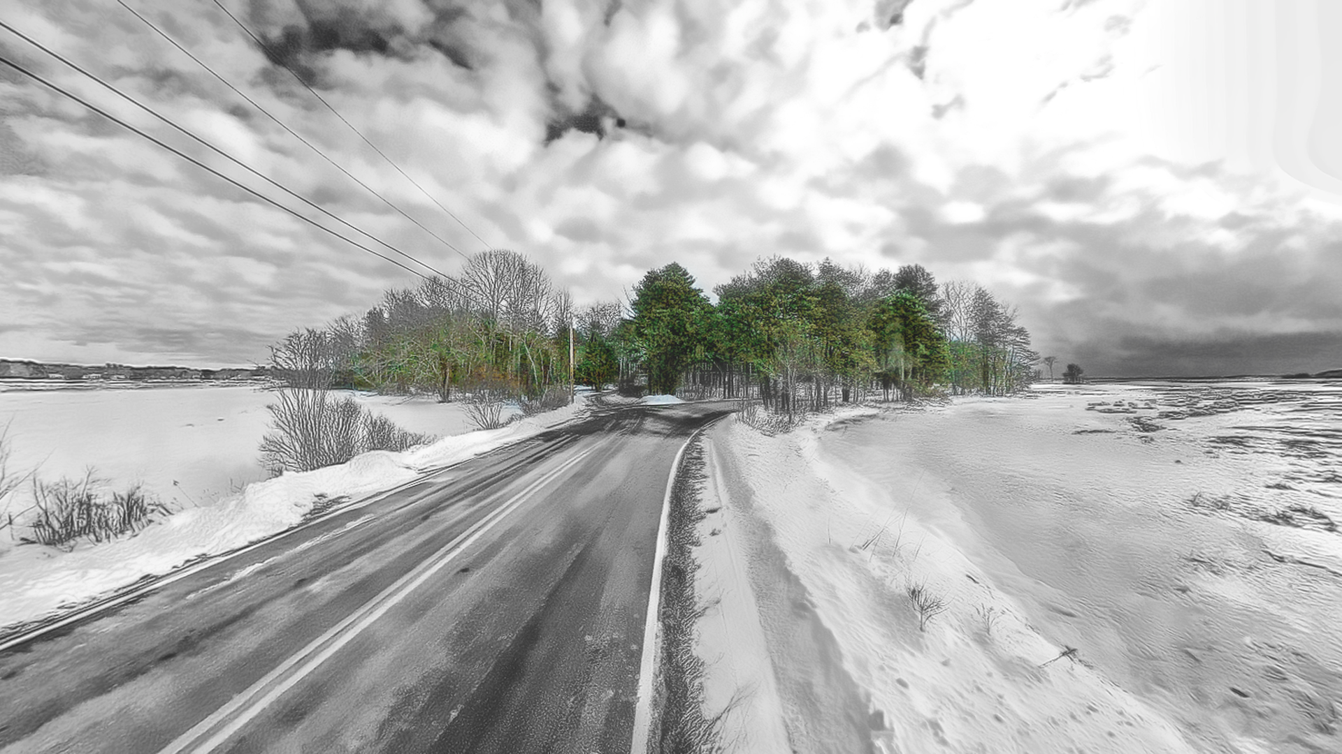 Plummer Island in Winter