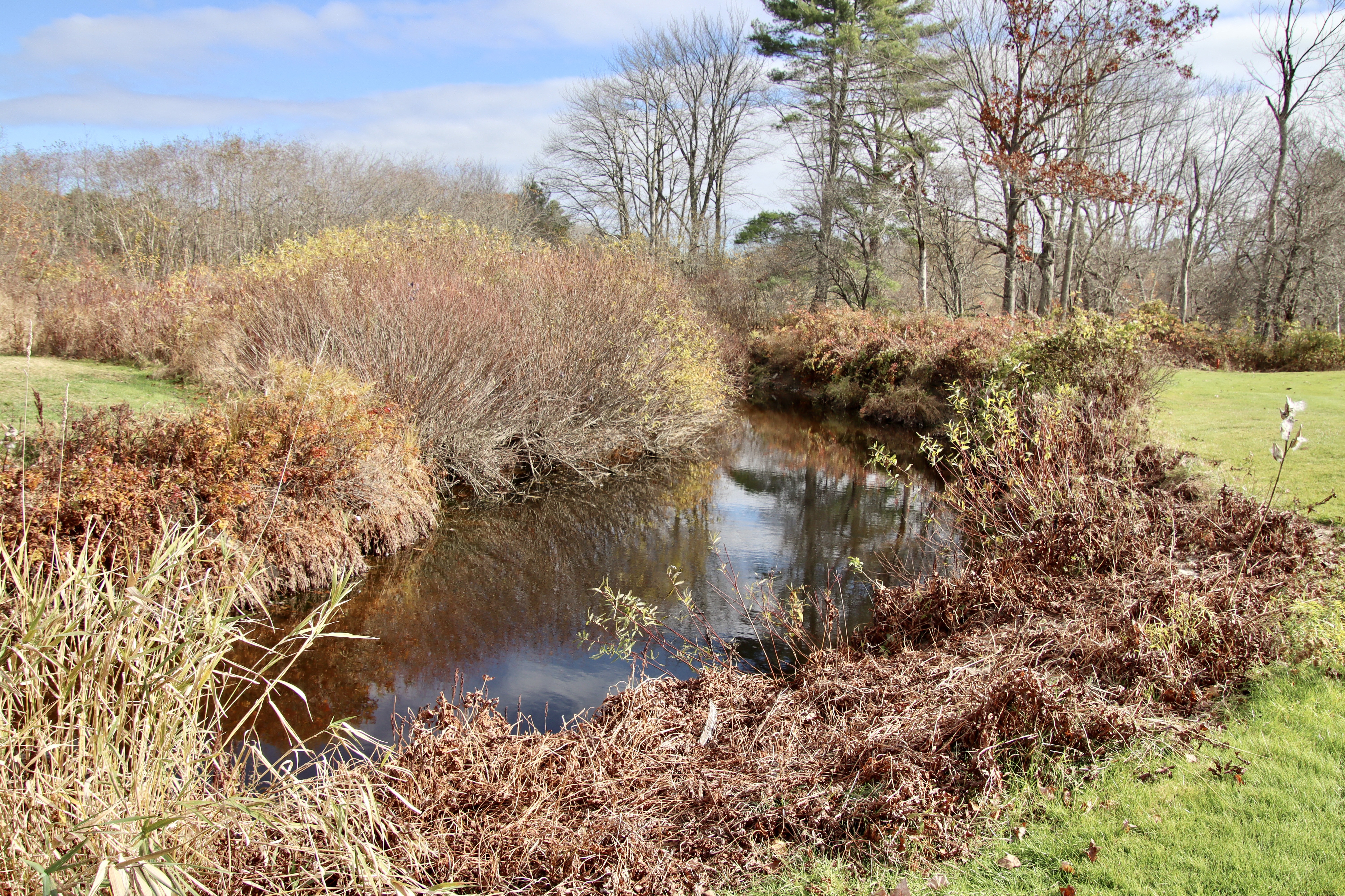 The Nonesuch as it makes its way through the golf course.