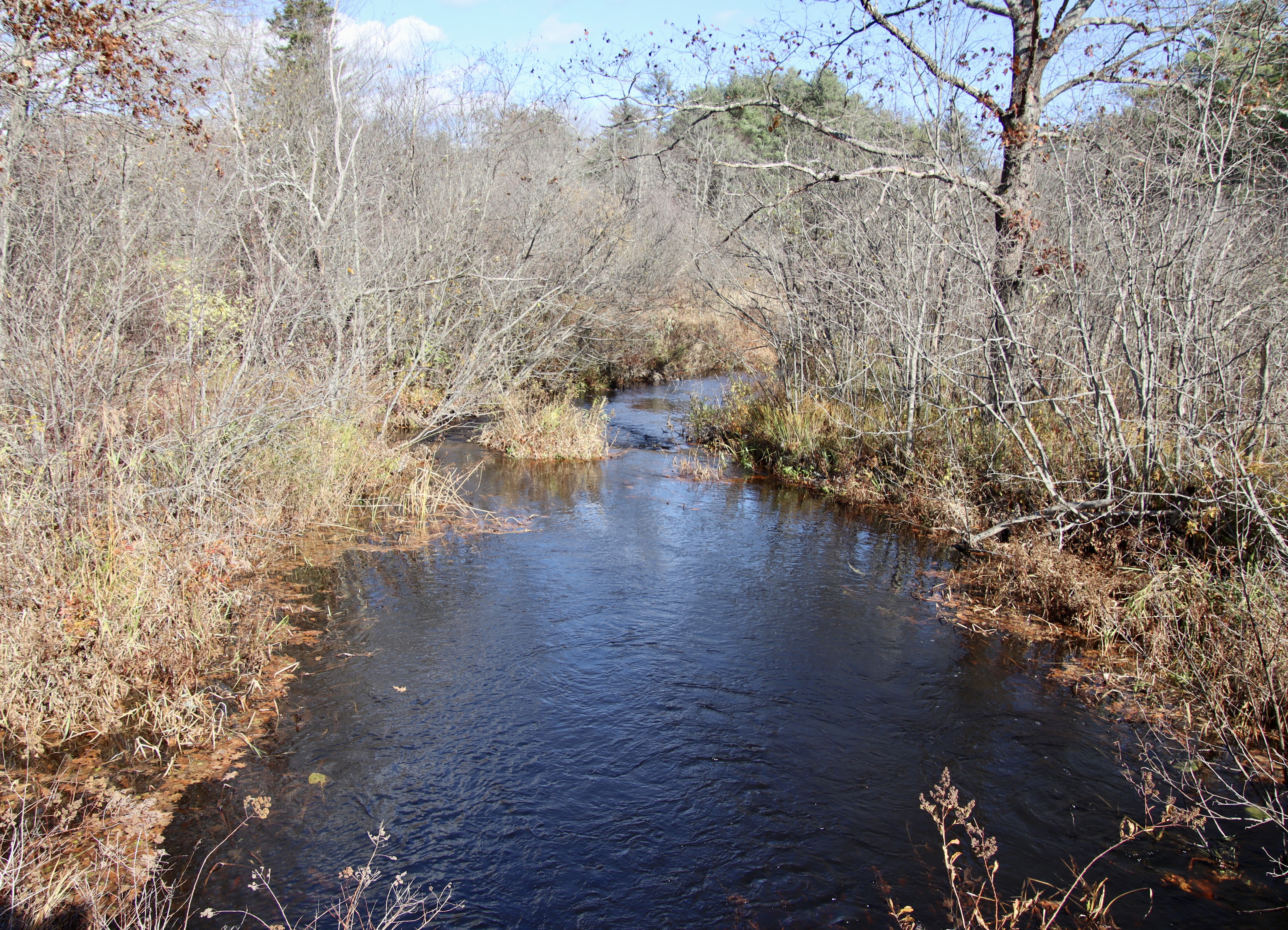 Looking downstream from McKenney Rd.