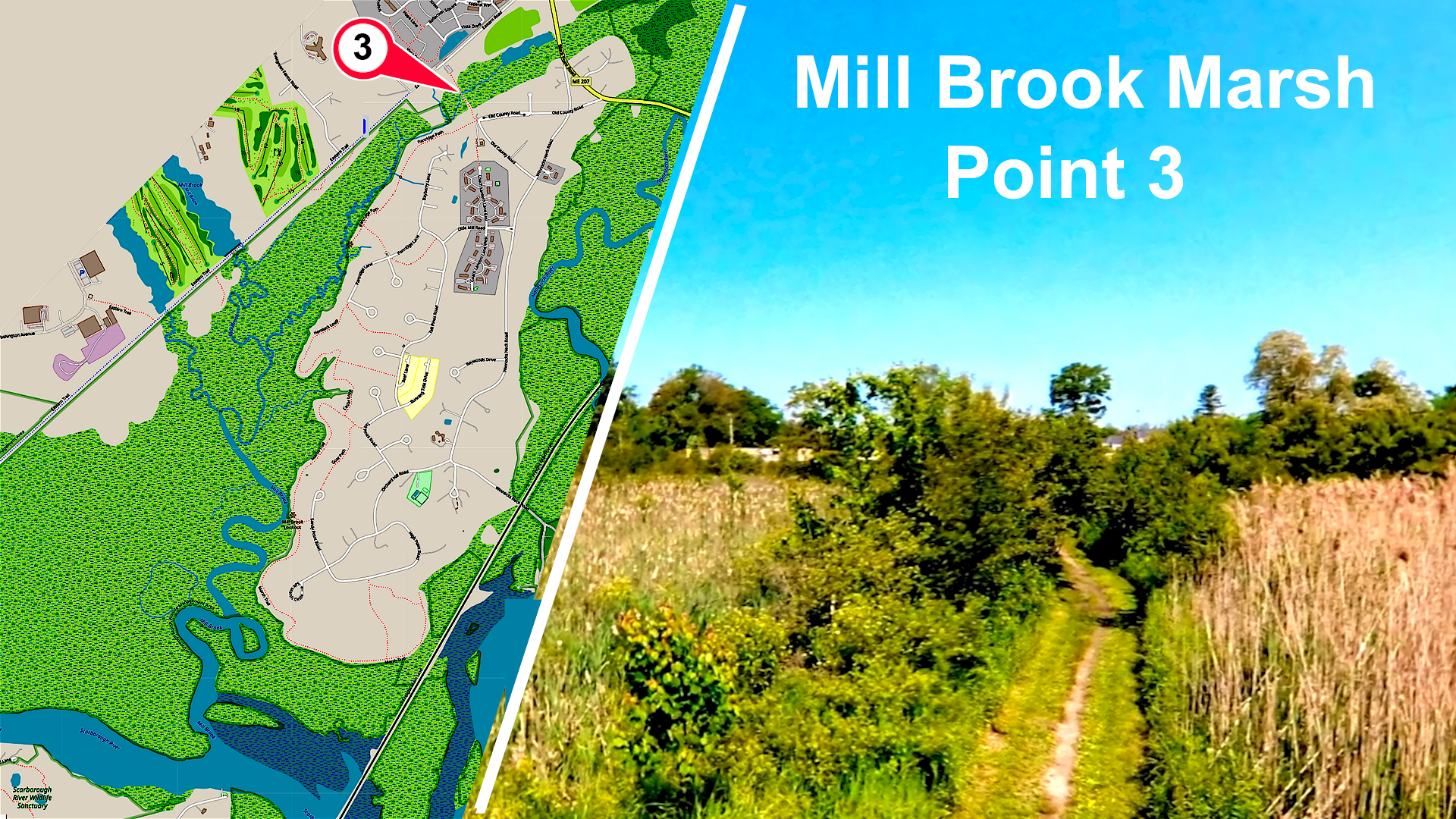 Mill Brook Point 3