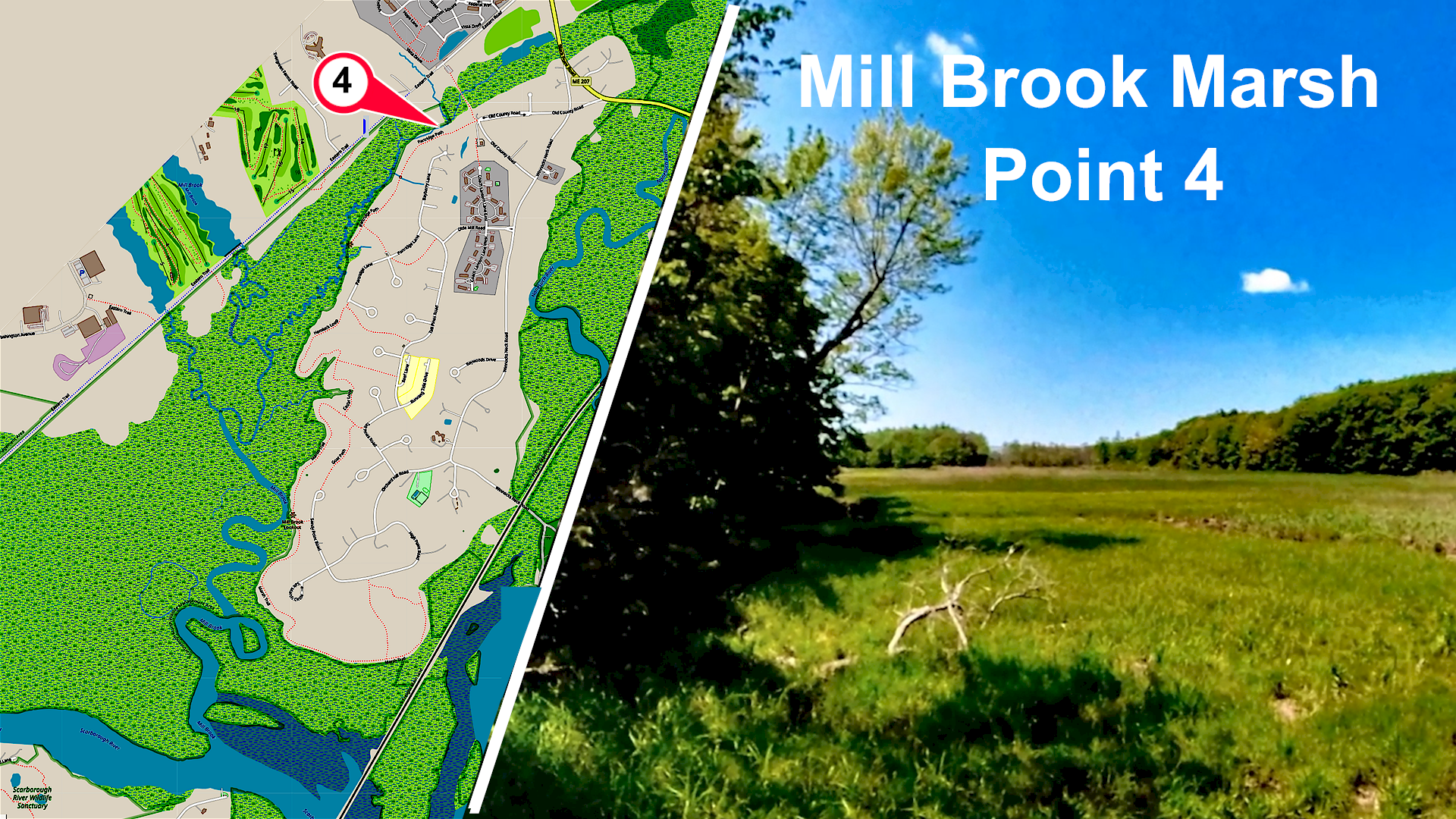 Mill Brook Point 04