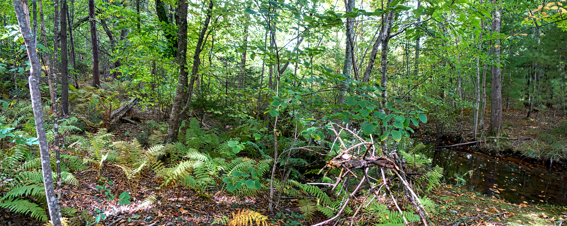 Mill Brook Point 04