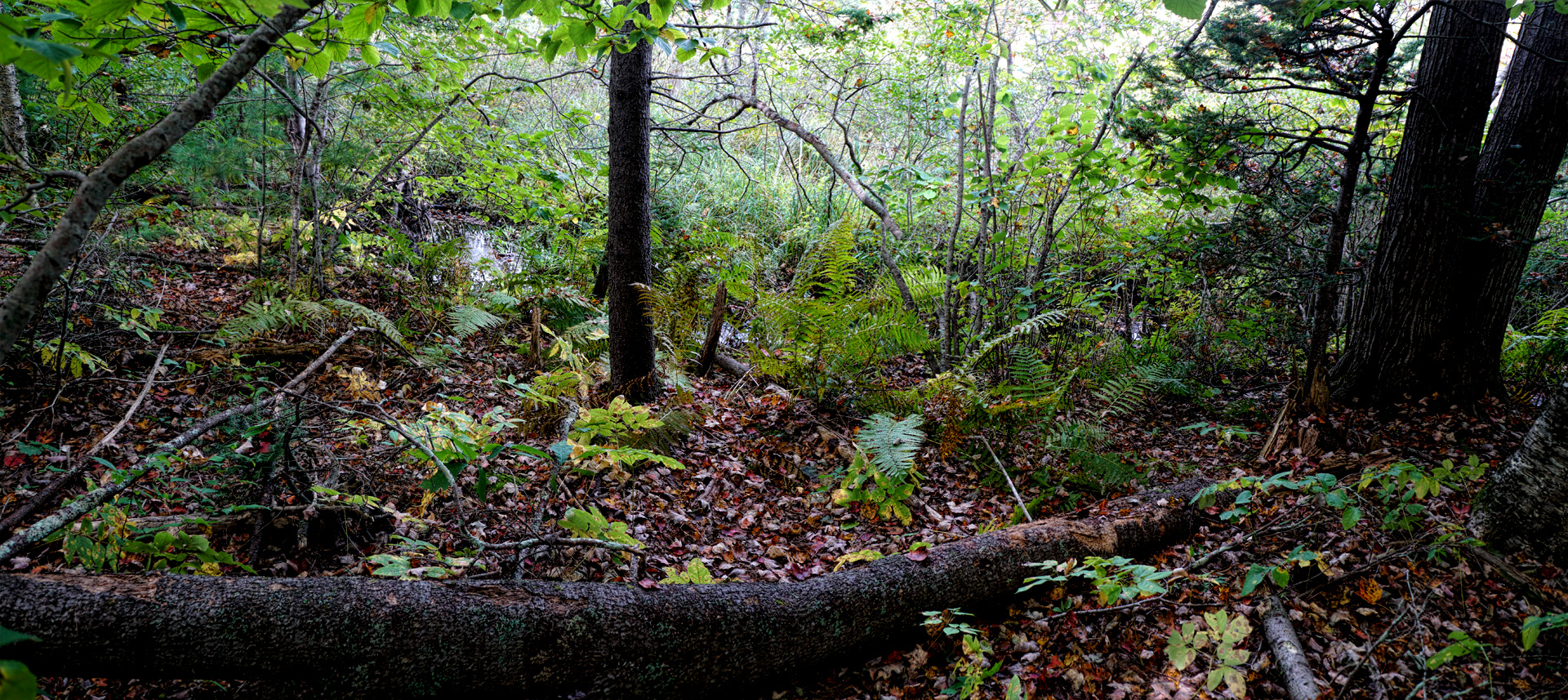 Mill Brook Point 04
