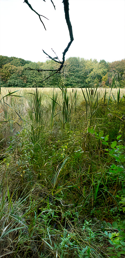 Mill Brook Point 04
