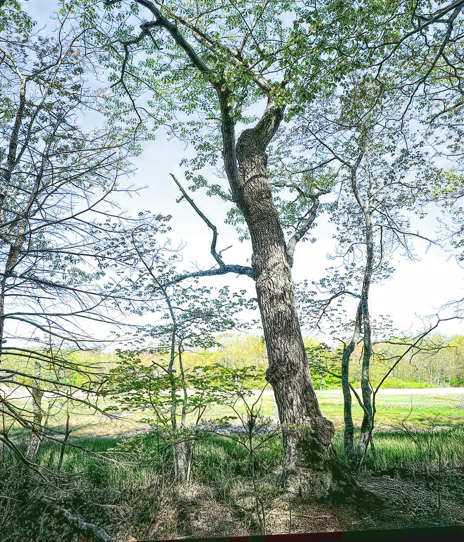 Mill Brook Point 06
