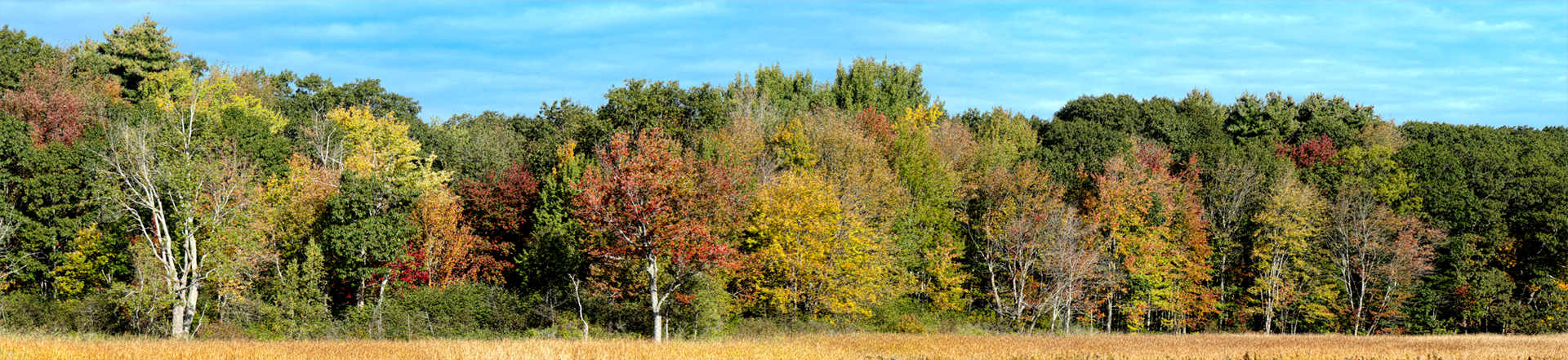 Mill Brook Marsh - Point 6 - Fall Panorama