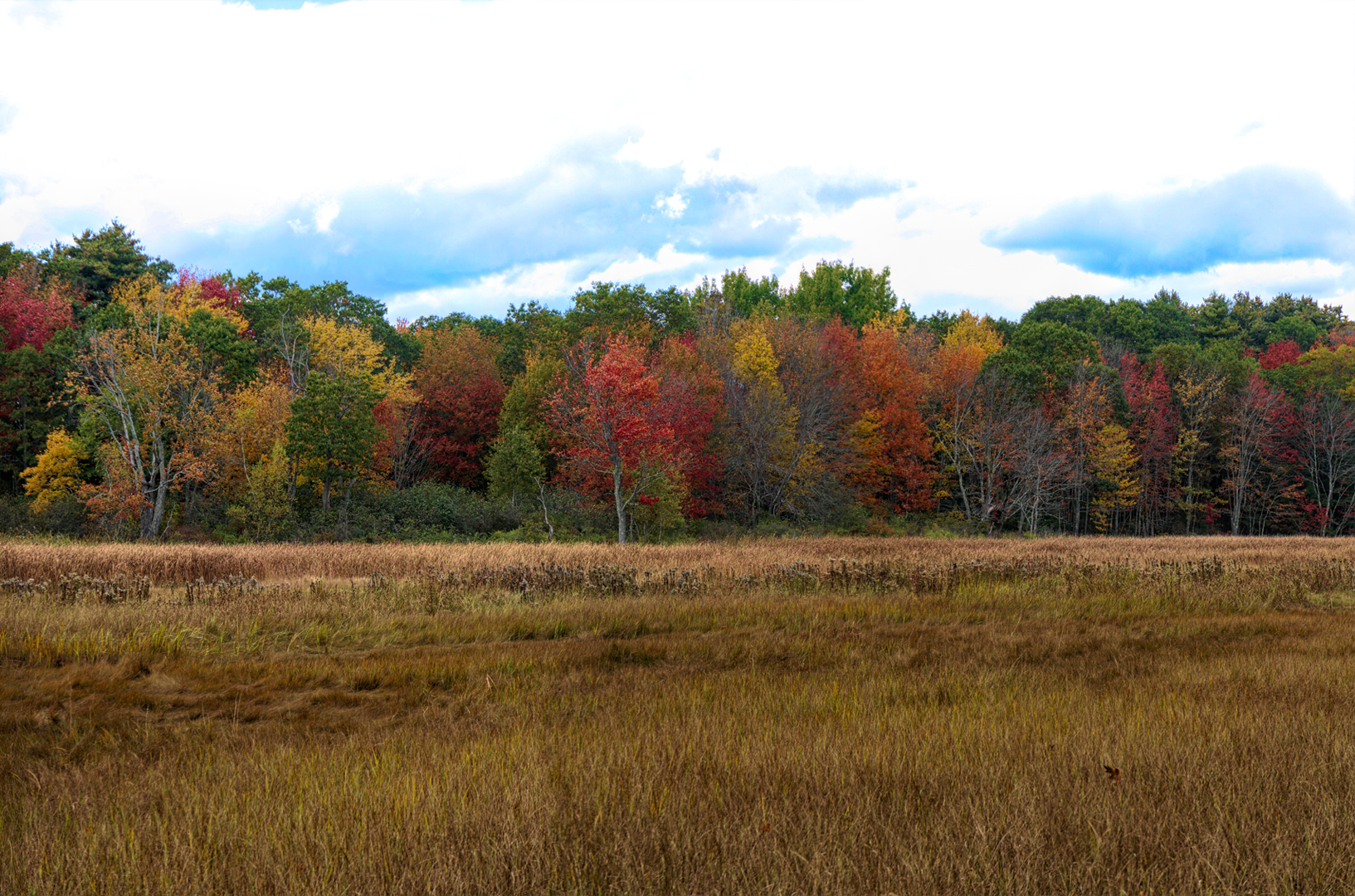 Mill Brook Marsh - Point 6 - Fall Panorama
