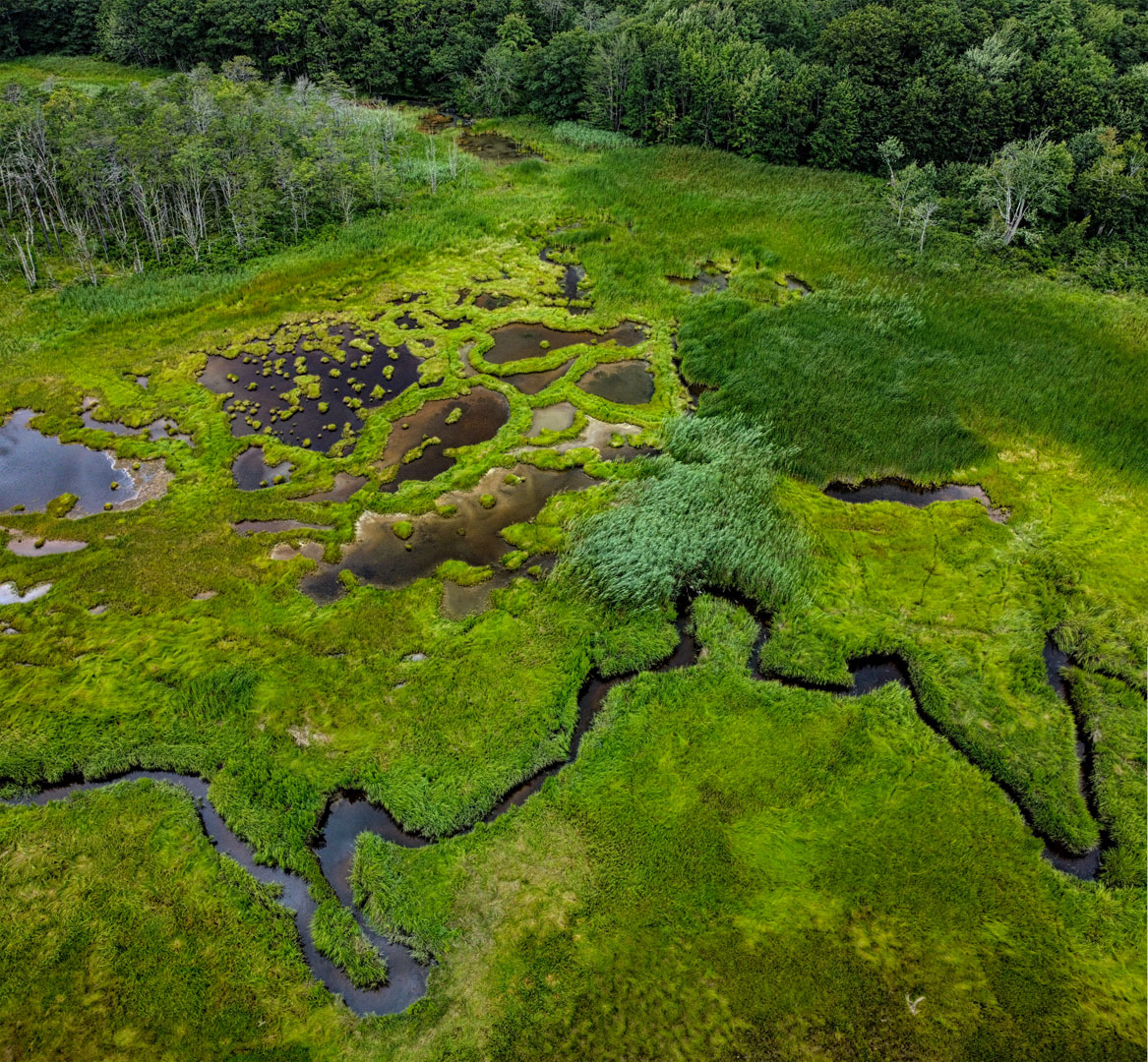 Mill Brook Marsh - Point 6 - Aerial View