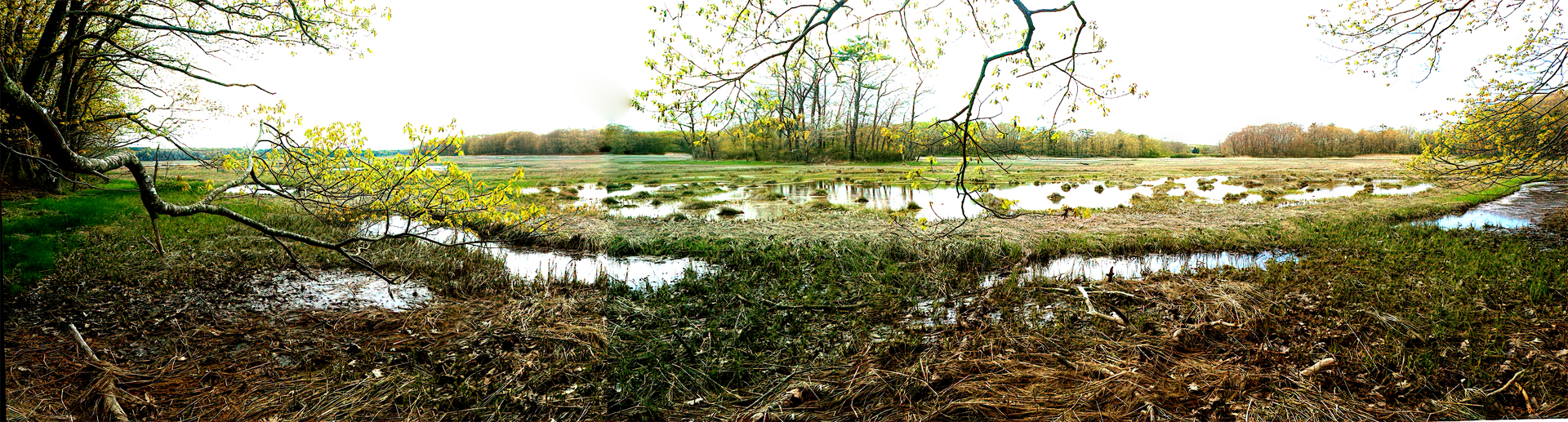 Mill Brook Marsh - Point 9 - Spring Panorama