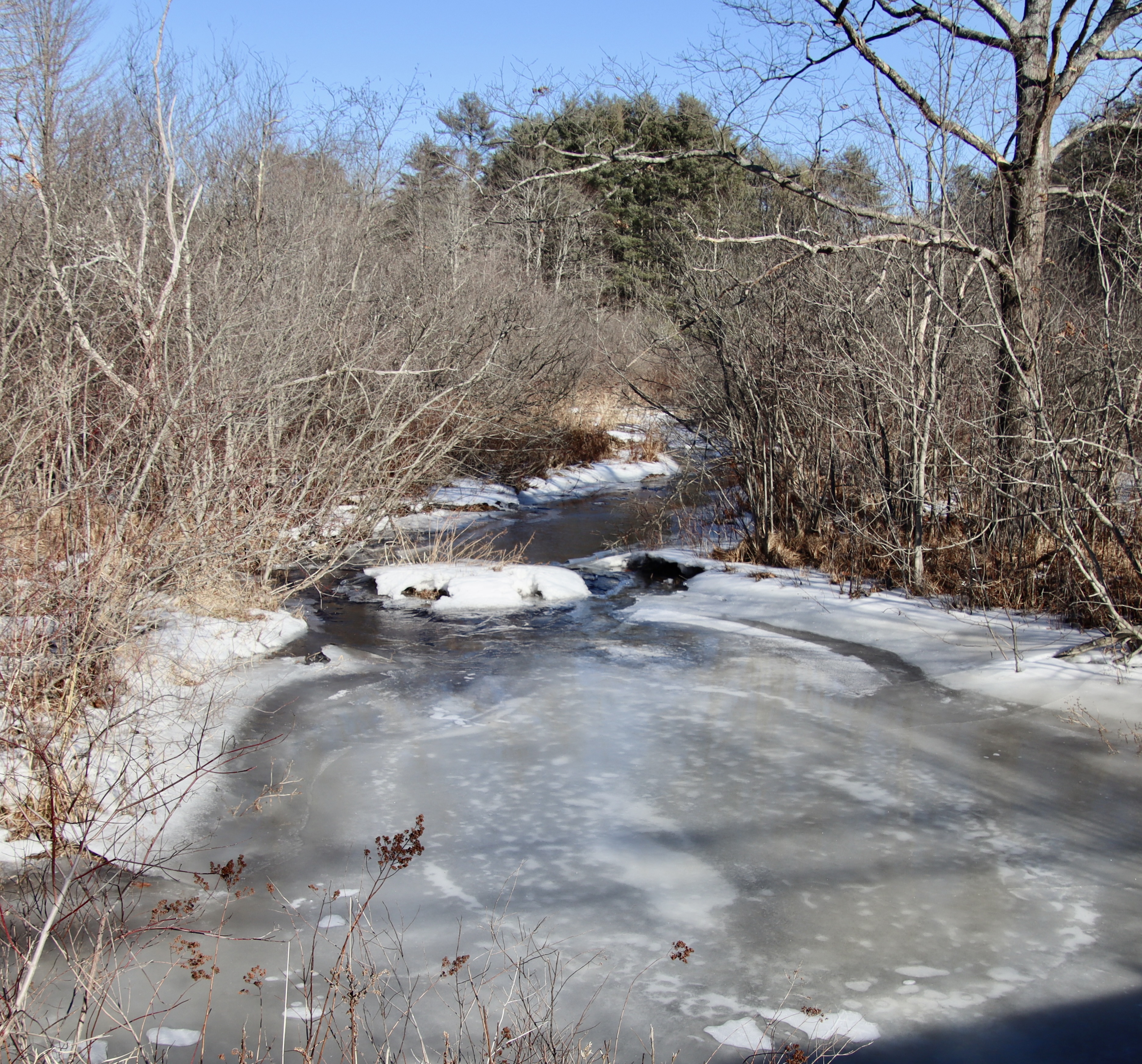Nonesuch Headwaters from McKenney Rd.