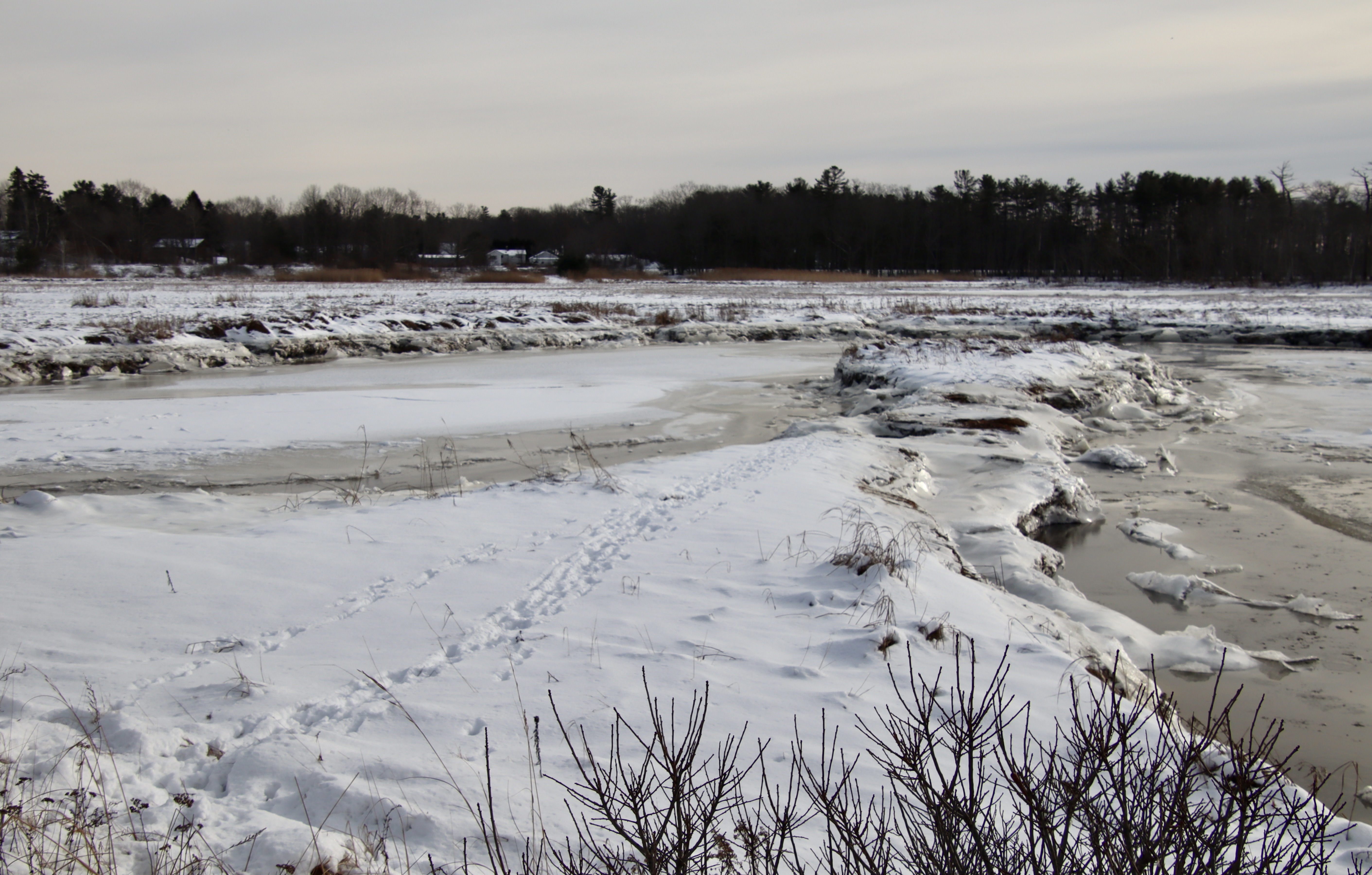 View of the Nonesuch from Black Point Rd.