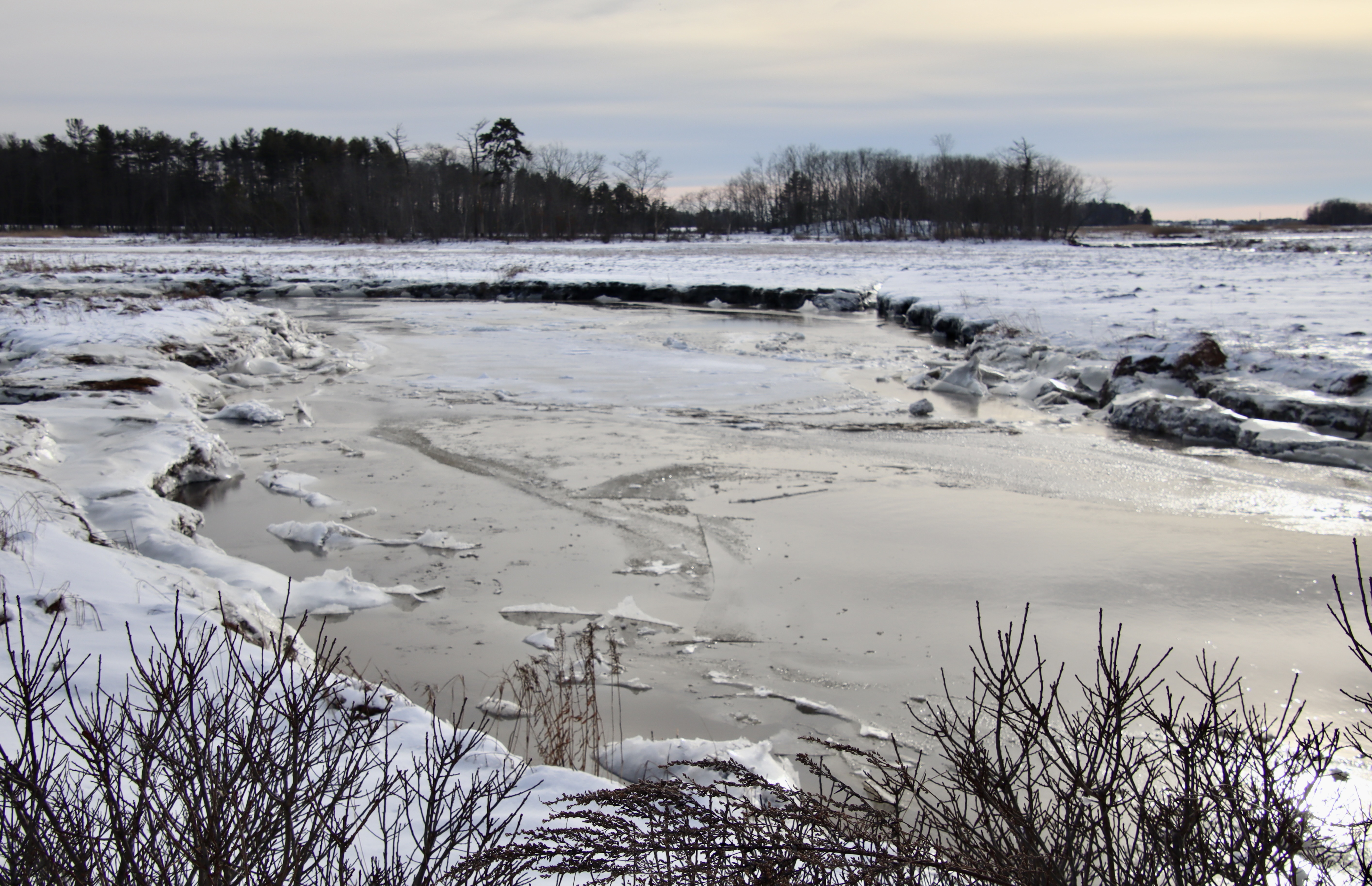 view of the Nonesuch from Black Point Rd.