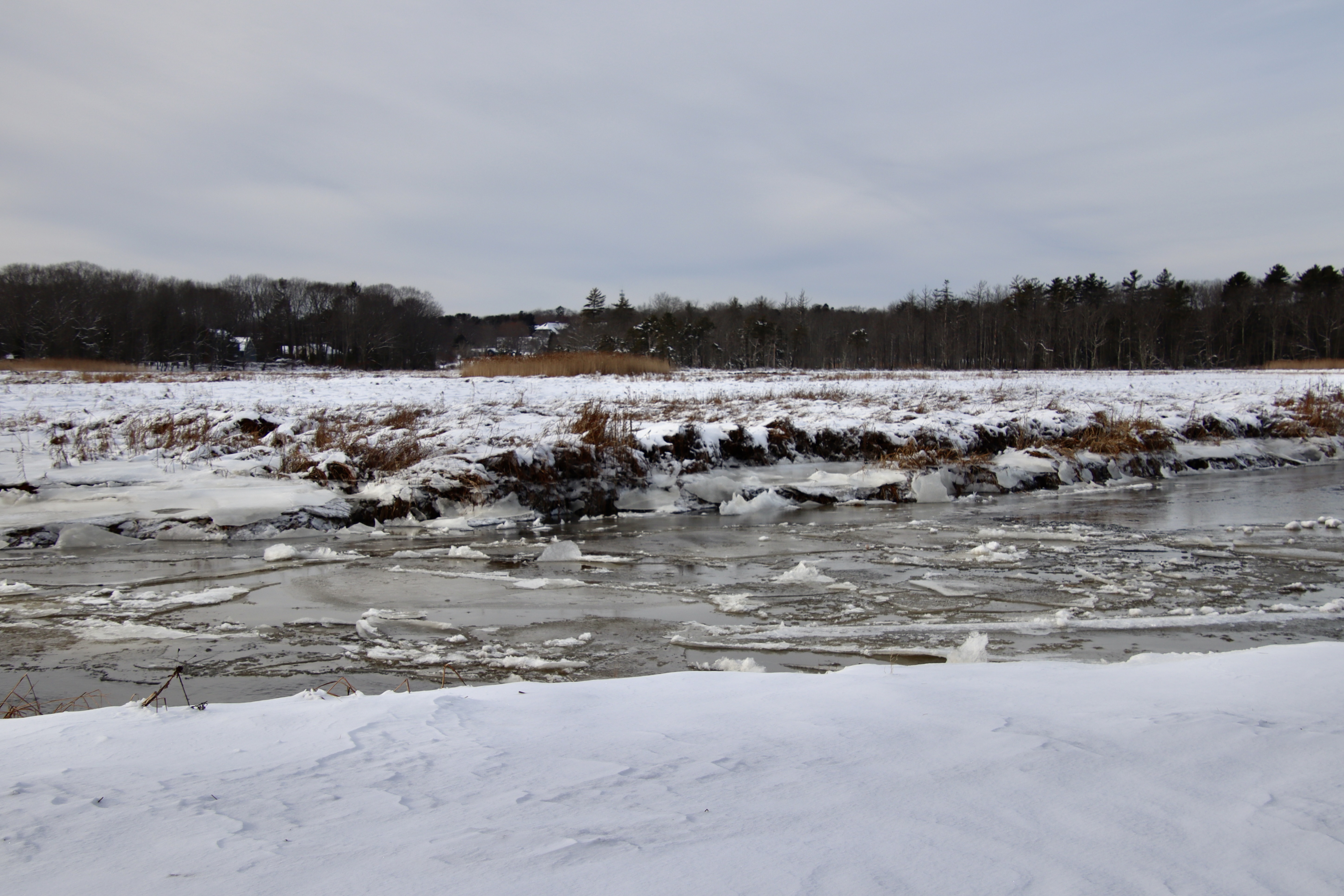 View of the Nonesuch from Black Point Rd.