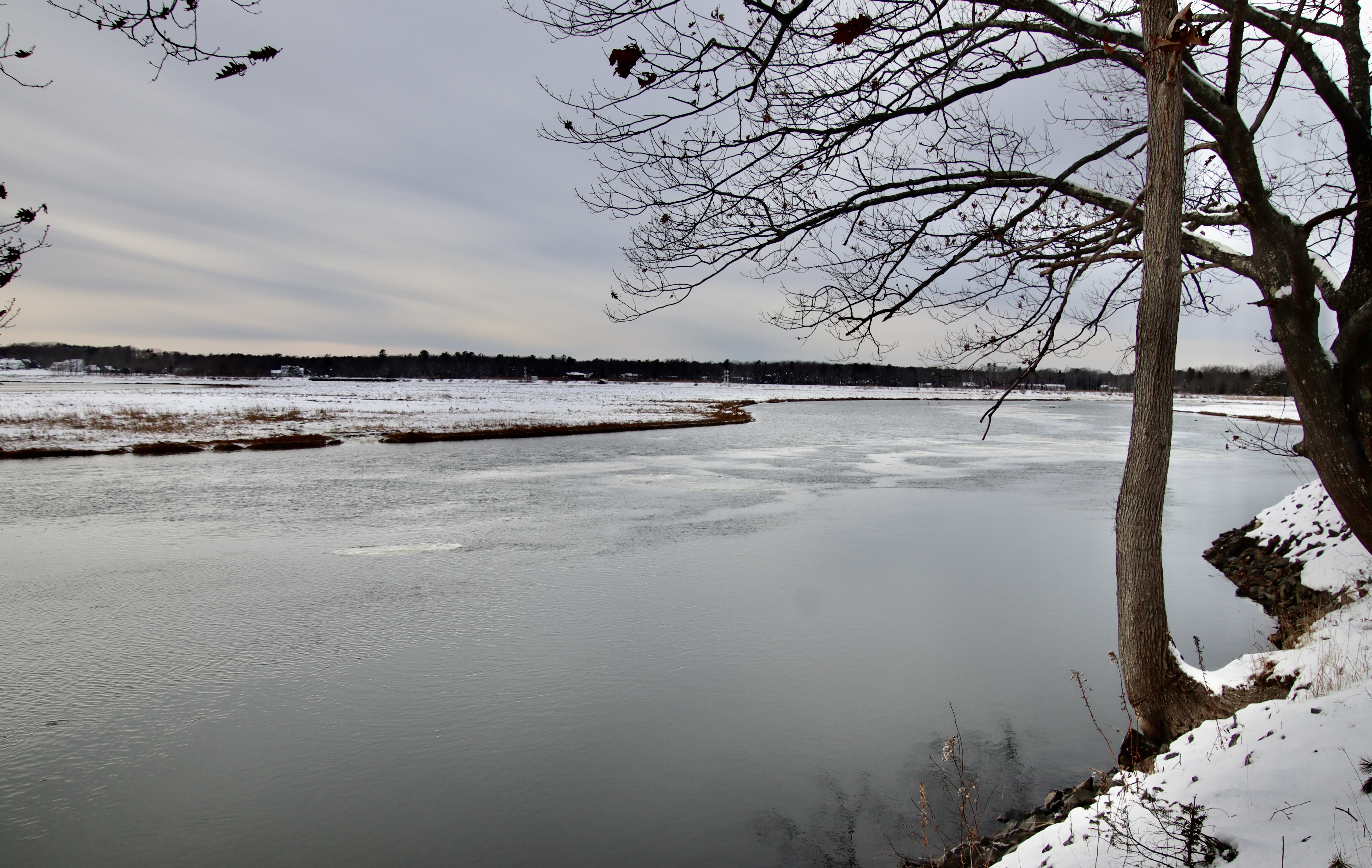 Clay Pits/Nonesuch Cove Rd.