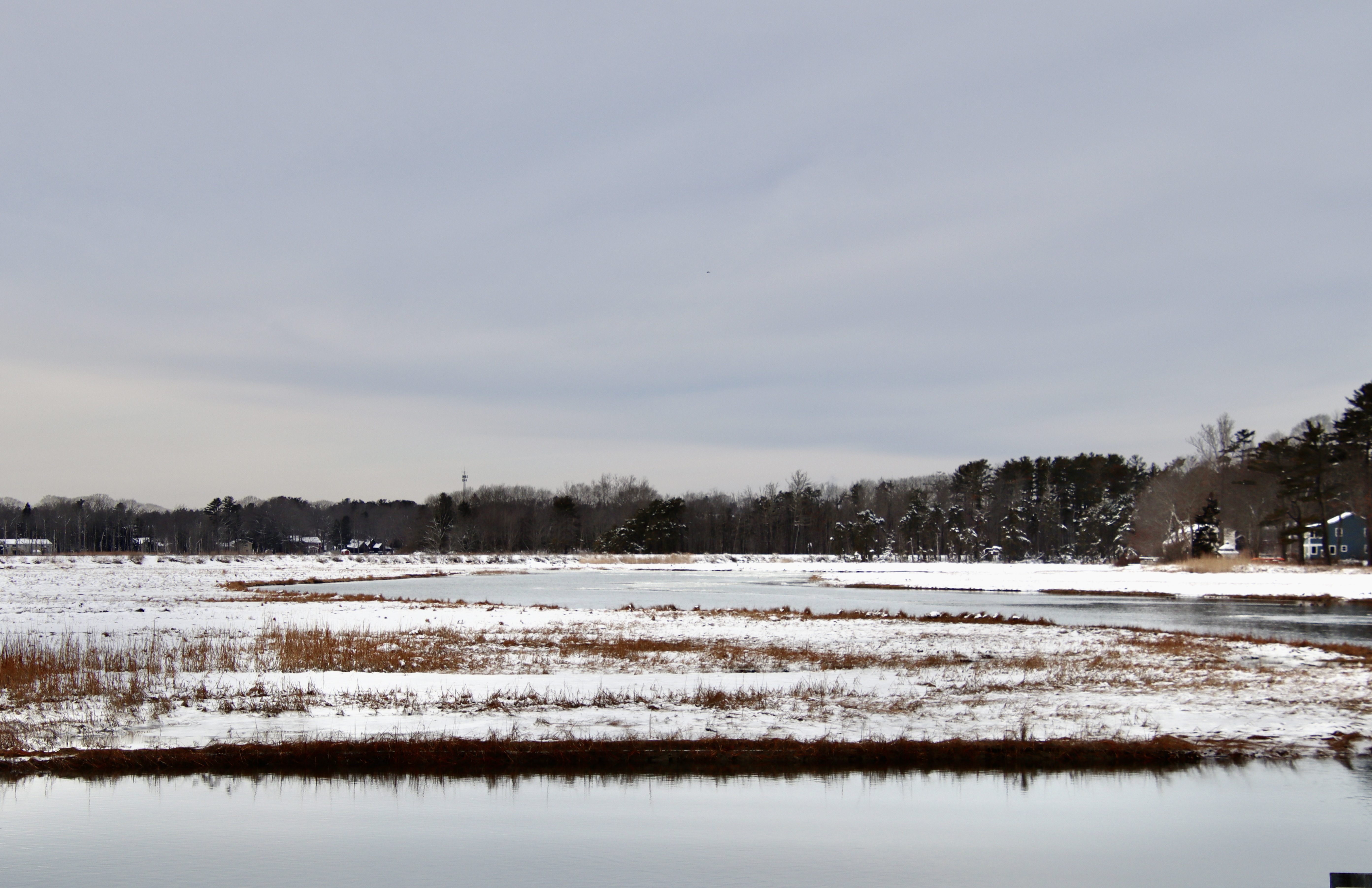 Clay Pits/Nonesuch Cove Rd.