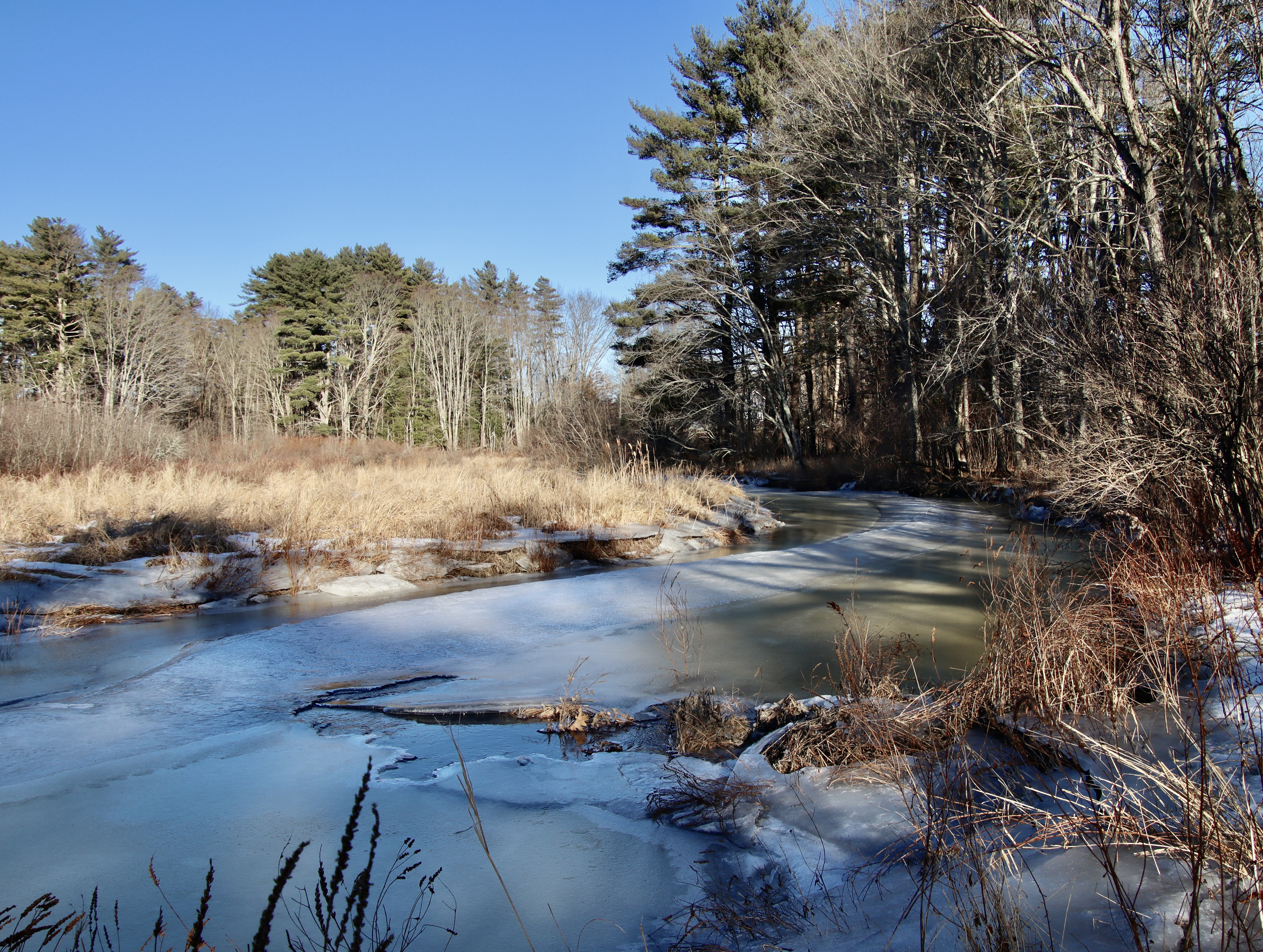 Blue Heron Preserve in winter.