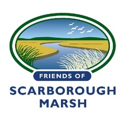 Friends of Scarborough Marsh Logo
