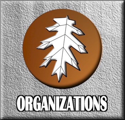Organizations button