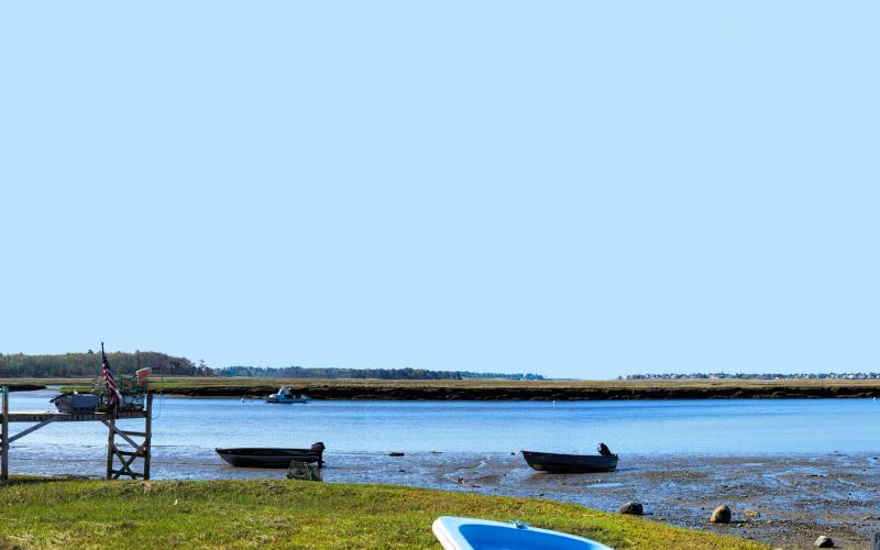 Plummer Island Panorama