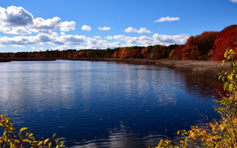 Massacre Pond at Scarborough Beach State Park