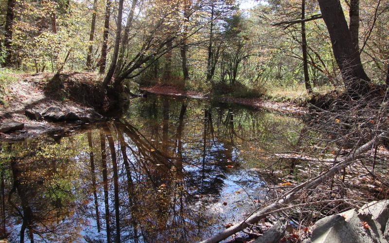 From the Fuller Farm trails.