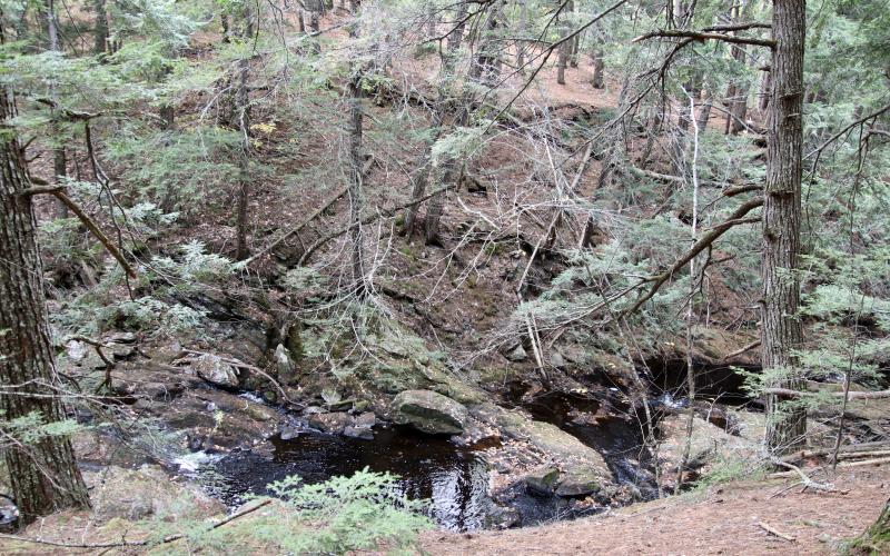 From the Thurston Mill trail.