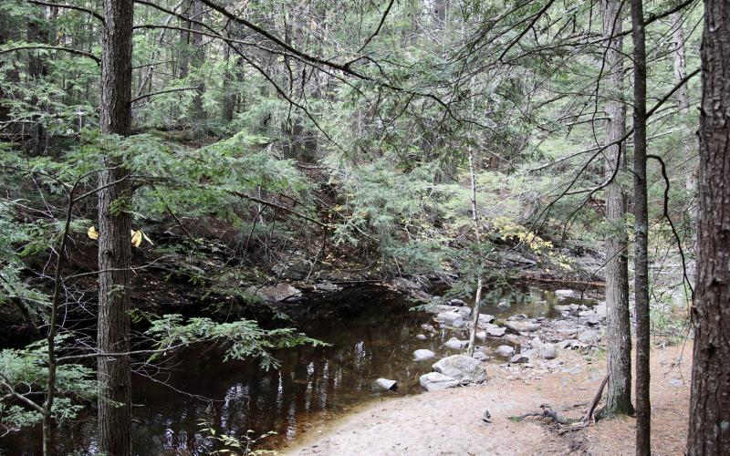 View of the Nonesuch from the Thurston Mill trail.