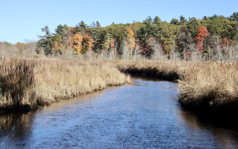 off the old Eastern Rd.