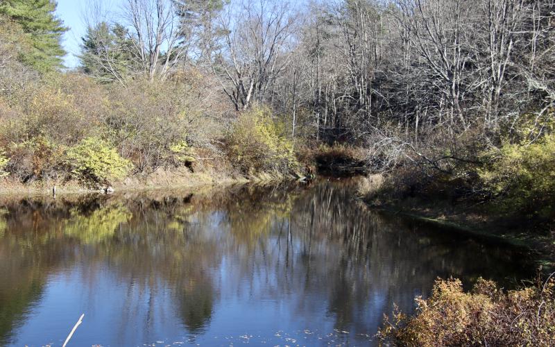 Looking downstream from Mitchell Hill Rd; this is at the edge of the Oak Hollow property.