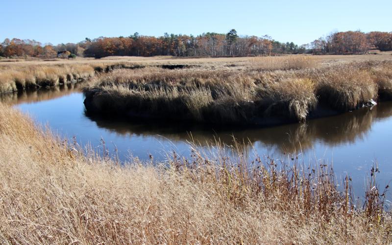 From the west side of Black Point Rd.