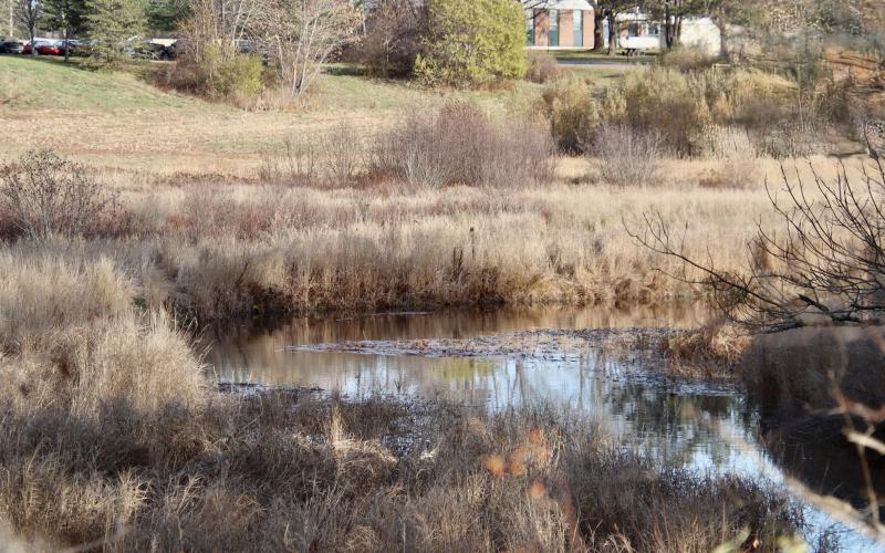 A bit downstream from Rt. 1