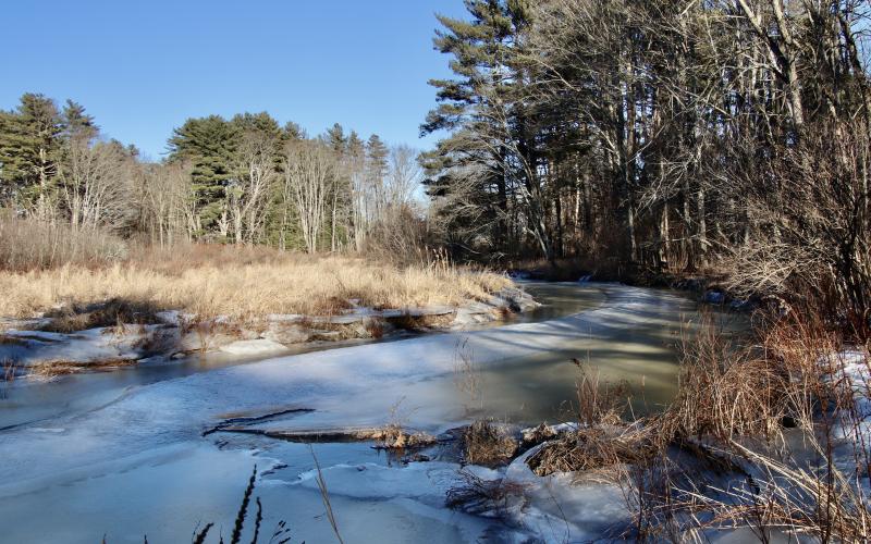 Blue Heron Preserve in winter.