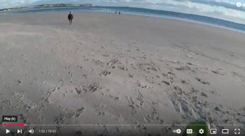 Screenshot from video