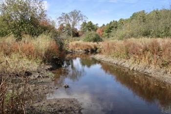 View from the Blue Heron Preserve trail.