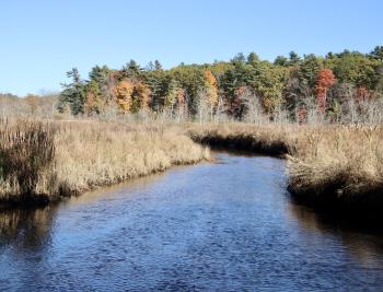 off the old Eastern Rd.