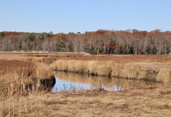 From the east side of Black Point Rd.