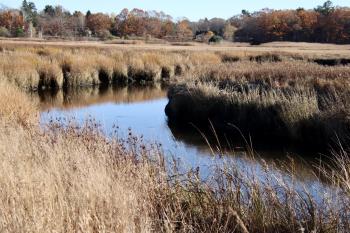 From the west side of Black Point Rd.