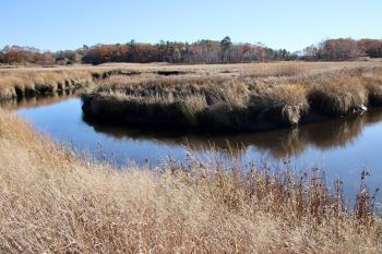 From the west side of Black Point Rd.