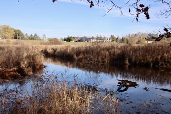 A bit downstream from Rt. 1