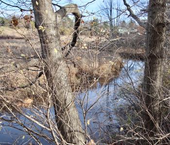 A bit downstream from Rt. 1