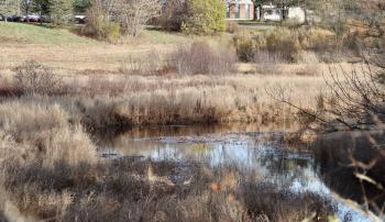A bit downstream from Rt. 1