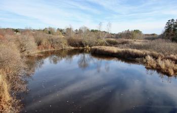 Looking downstream from Rt. 1