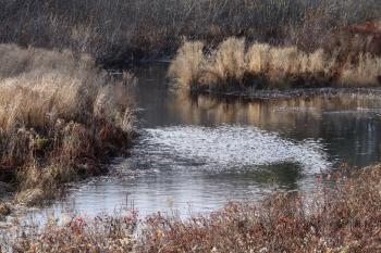 Looking upstream from Rt. 1