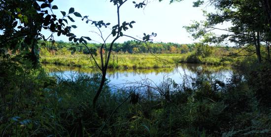 Eastern Trail - River Bend