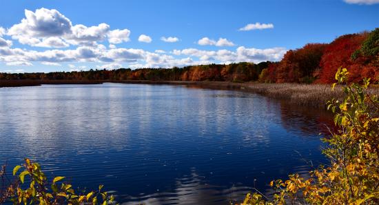 Massacre Pond at Scarborough Beach State Park