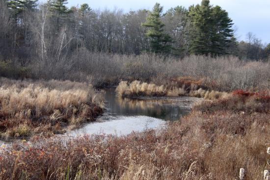 Looking upstream from Rt. 1