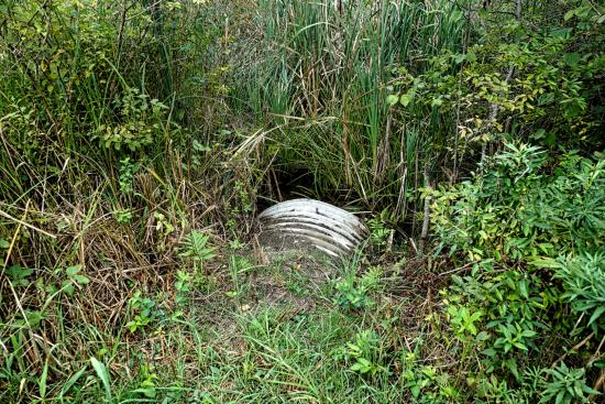 Mill Brook Marsh - Point 3 - Culvert