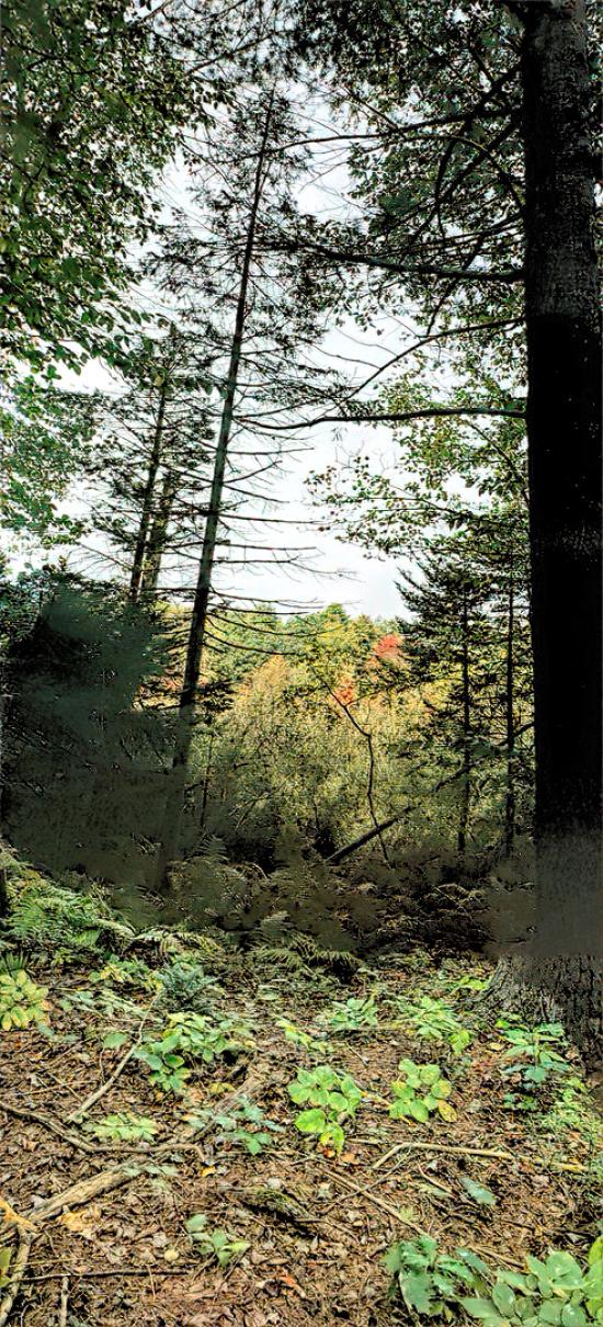 Mill Brook Marsh - Point 4 - Vertical View