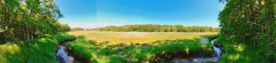 Mill Brook Marsh - Point 5 - Panorama